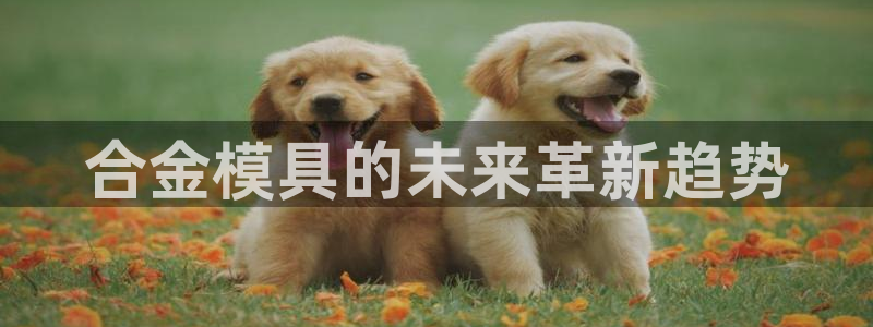 太阳gg登陆测试：合金模具的未来革新趋势