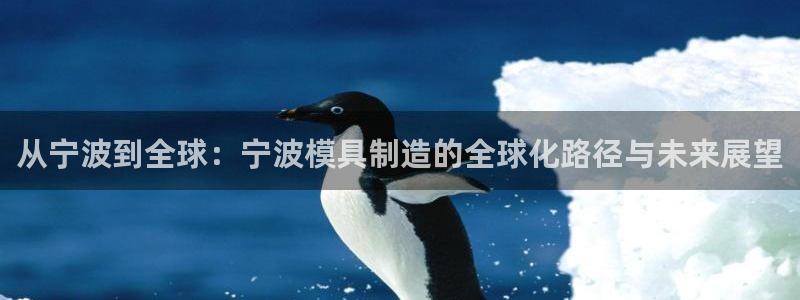太阳集团app十佳平台：从宁波到全球：宁波模具制造的全球化路径与未来展望