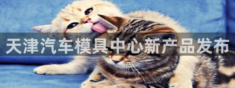 1593太阳集团城所有网址：天津汽车模具中心新产品发布