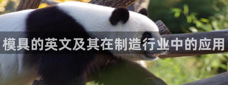 太阳集团网站入口