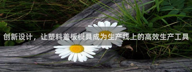 太阳成集团tyc122ccvlp：创新设计，让塑料盖板模具成为生产线上的高效生产工具