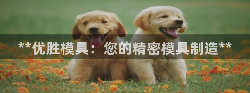 太阳集团游戏城旧版2.1.9：**优胜模具：您的精密模具制造**
