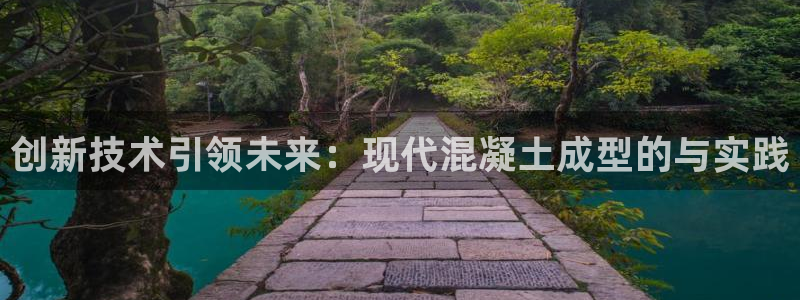 太阳诚集团有限公司：创新技术引领未来：现代混凝土成型的与实践
