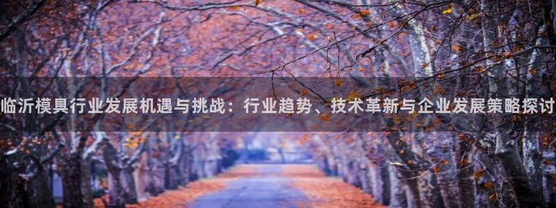 太阳诚集团有限公司是国企吗：临沂模具行业发展机遇与挑战：行业趋势、技术革新与企业发展策略探讨
