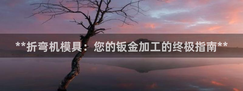 太阳集团董事长是谁照片：**折弯机模具：您的钣金加工的终极指