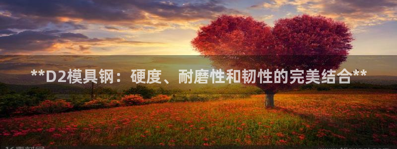 太阳成集团的官方网站：**D2模具钢：硬度、耐磨性和韧性的完美结合**