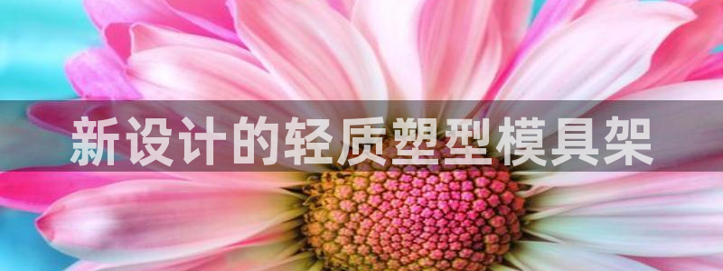 太阳appvip：新设计的轻质塑型模具架