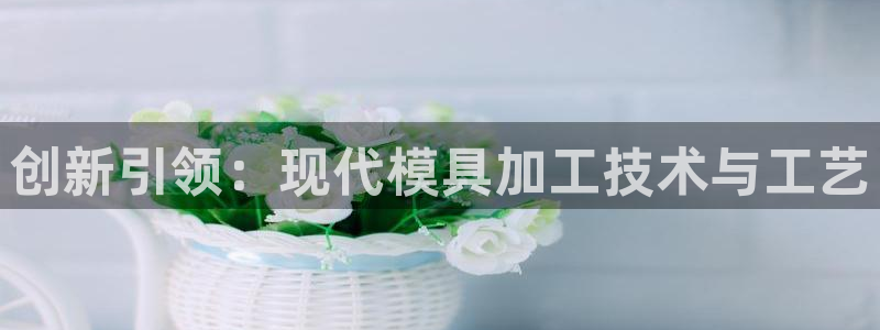 太阳老板身价：创新引领：现代模具加工技术与工艺