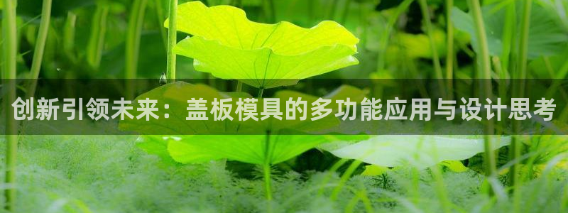 太阳集团城官方app：创新引领未来：盖板模具的多功能应用与设计思考