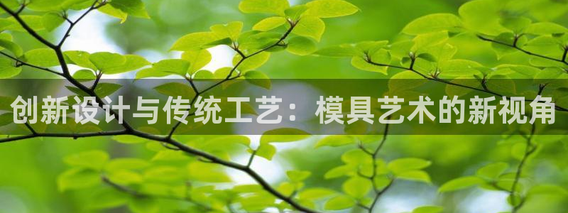 太阳成集团网址：创新设计与传统工艺：模具艺术的新视角