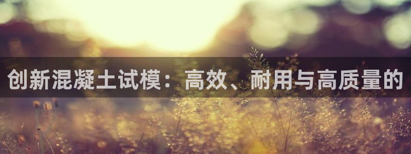 太阳阳城集团：创新混凝土试模：高效、耐用与高质量的