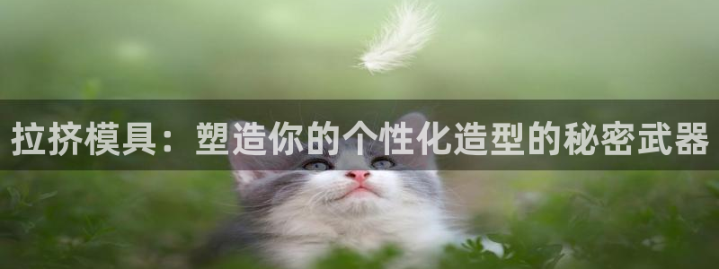 太阳成集团古天乐：拉挤模具：塑造你的个性化造型的秘密武器