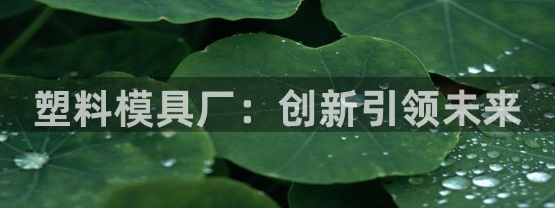 太阳集团的法人代表：塑料模具厂：创新引领未来