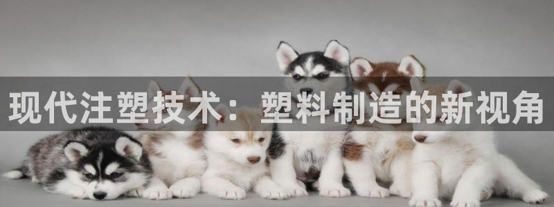 太阳2注册官网下载：现代注塑技术：塑料制造的新视角