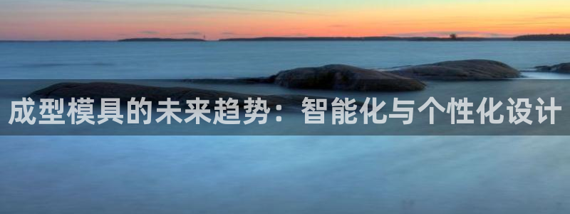 太阳诚集团是什么