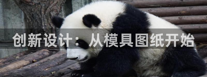 太阳1城集团网址是多少：创新设计：从模具图纸开始