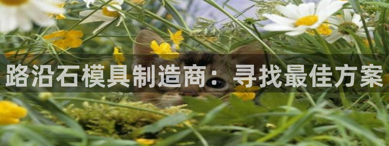 太阳1城集团网址查询：路沿石模具制造商：寻找最佳方案