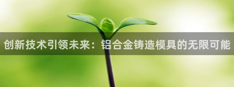 太阳集团主要是做什么的