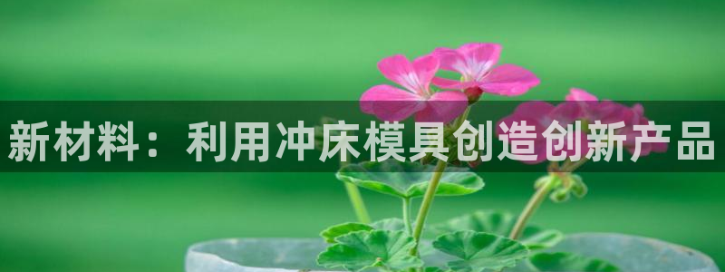 太阳集团怎么样