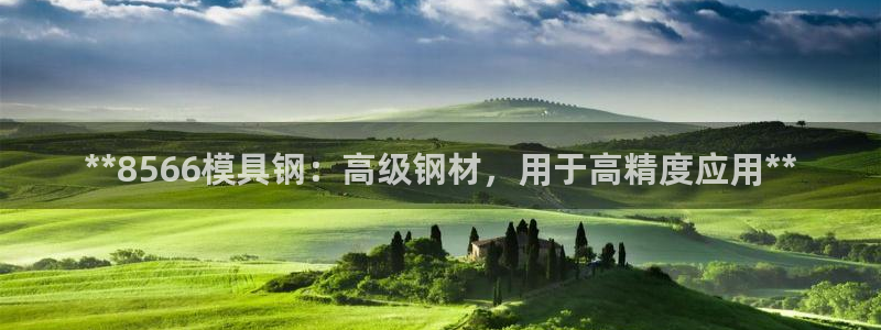 古天乐和太阳集团谁厉害：**8566模具钢：高级钢材，用于高