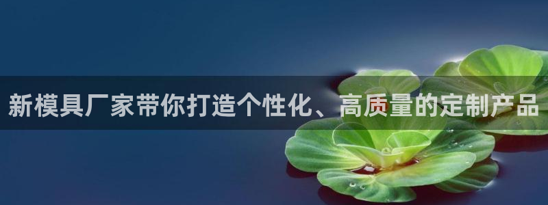 太阳集团游戏官方网址：新模具厂家带你打造个性化、高质量的定制