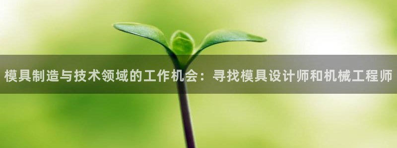 太阳诚集团有限公司怎么样：模具制造与技术领域的工作机会：寻找模具设计师和机械工程师