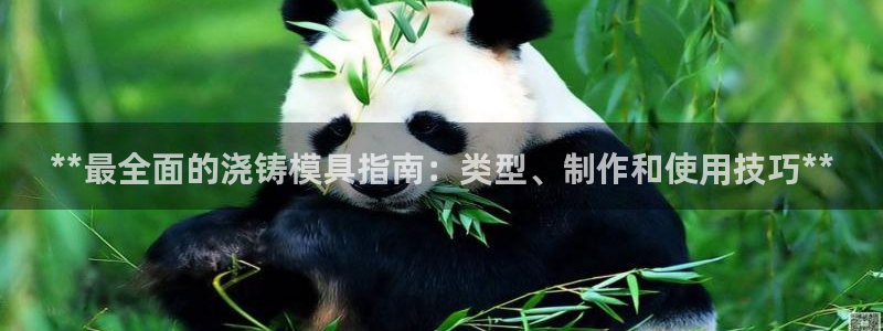 2138cn太阳集团古天乐：**最全面的浇铸模具指南：类型、制作和使用技巧**