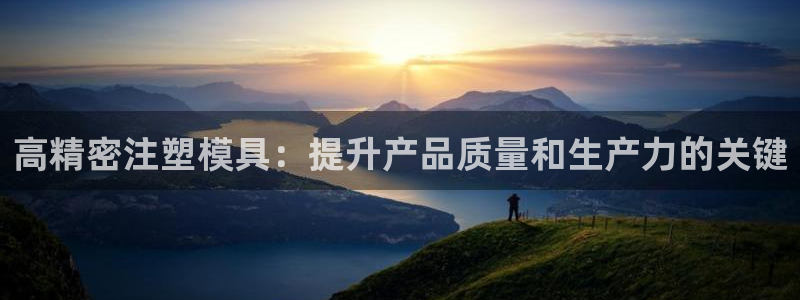 44118太阳成城集团：高精密注塑模具：提升产品质量和生产力的关键