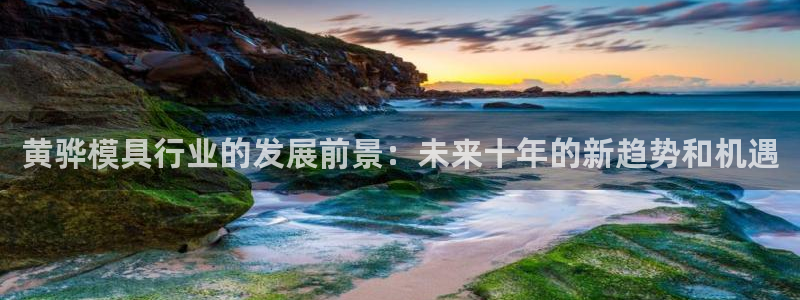 太阳集团所有网址16877：黄骅模具行业的发展前景：未来十年的新趋势和机遇