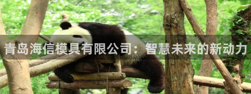 古天乐太阳网城：青岛海信模具有限公司：智慧未来的新动力