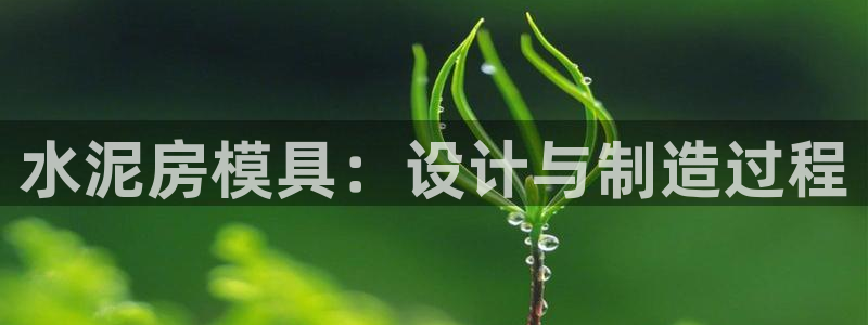 太阳手机游戏：水泥房模具：设计与制造过程