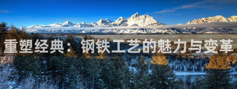 太阳集市网上商城：重塑经典：钢铁工艺的魅力与变革