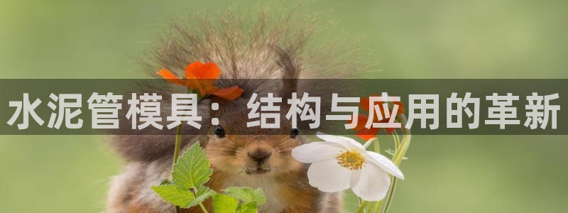 太阳集团主要是做什么的：水泥管模具：结构与应用的革新