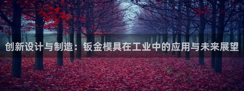 太阳集团娱乐所有网站app游戏优势：创新设计与制造：钣金模具在工业中的应用与未来展望