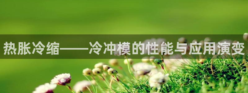 太阳集团董事长是谁照片