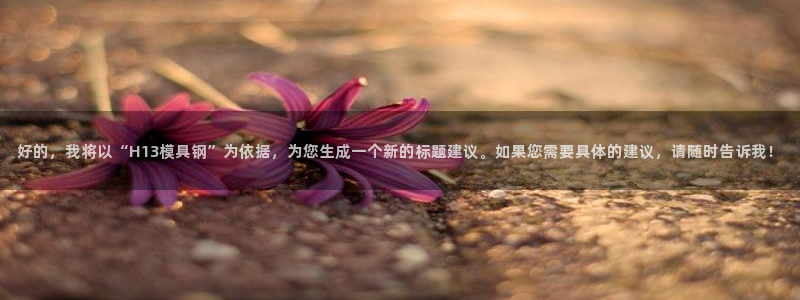 太阳gg平台地址：好的，我将以“H13模具钢”为依据，为您生成一个新的标题建议。如果您需要具体的建议，请随时告诉我！