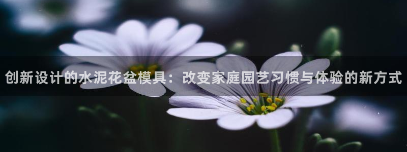 太阳集团入口官网网址