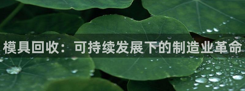 太阳集团电子游戏宙斯：模具回收：可持续发展下的制造业革命