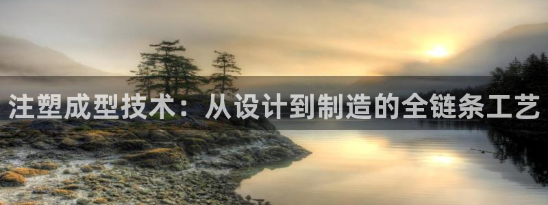 太阳贵宾城：注塑成型技术：从设计到制造的全链条工艺