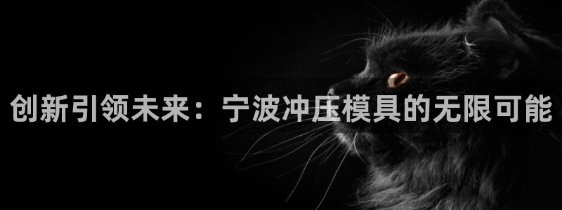 太阳app安卓版：创新引领未来：宁波冲压模具的无限可能