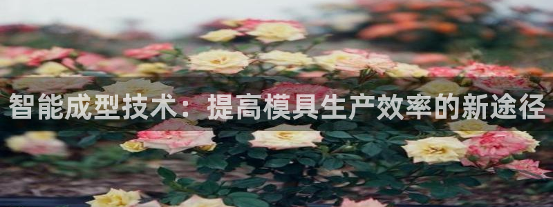 太阳成集团tyc234cc官网：智能成型技术：提高模具生产效率的新途径