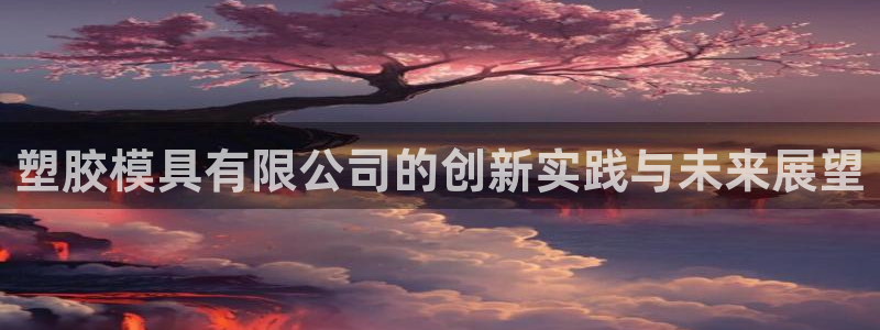 太阳集团市值：塑胶模具有限公司的创新实践与未来展望
