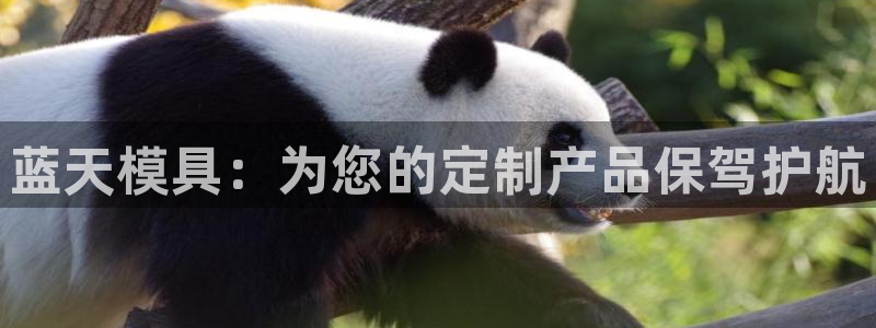 太阳集团房地产：蓝天模具：为您的定制产品保驾护航