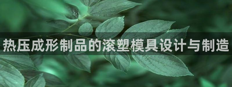 太阳集团在国内三个分公司