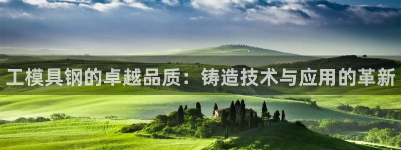 太阳集团游戏网址：工模具钢的卓越品质：铸造技术与应用的革新