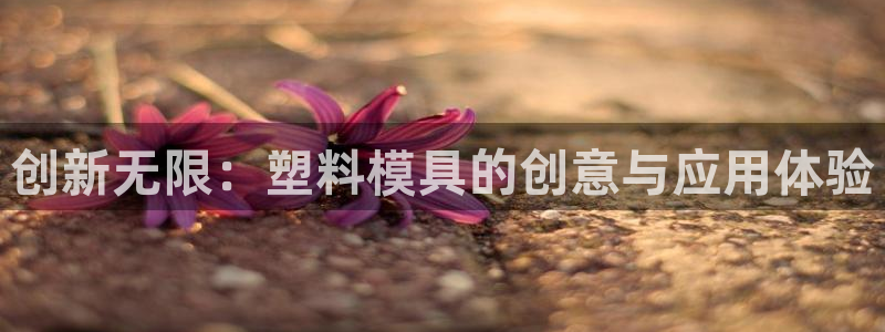 太阳诚集团网址