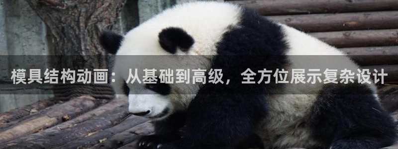 太阳gg娱选_2o5o26：模具结构动画：从基础到高级，全方