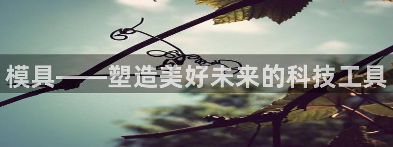 太阳成集团视频：模具——塑造美好未来的科技工具