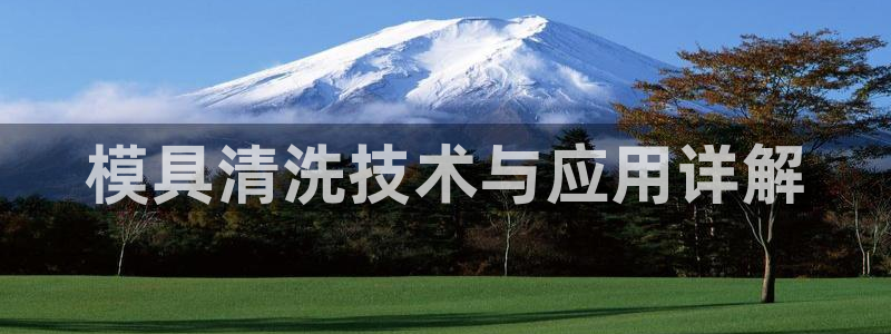 太阳诚集团有限公司地址