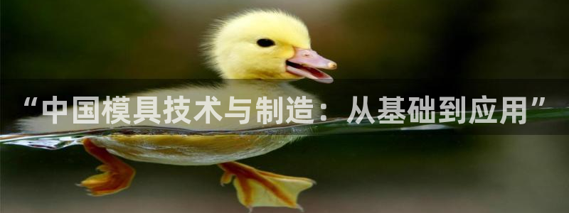 太阳集团电子游戏大全：“中国模具技术与制造：从基础到应用”